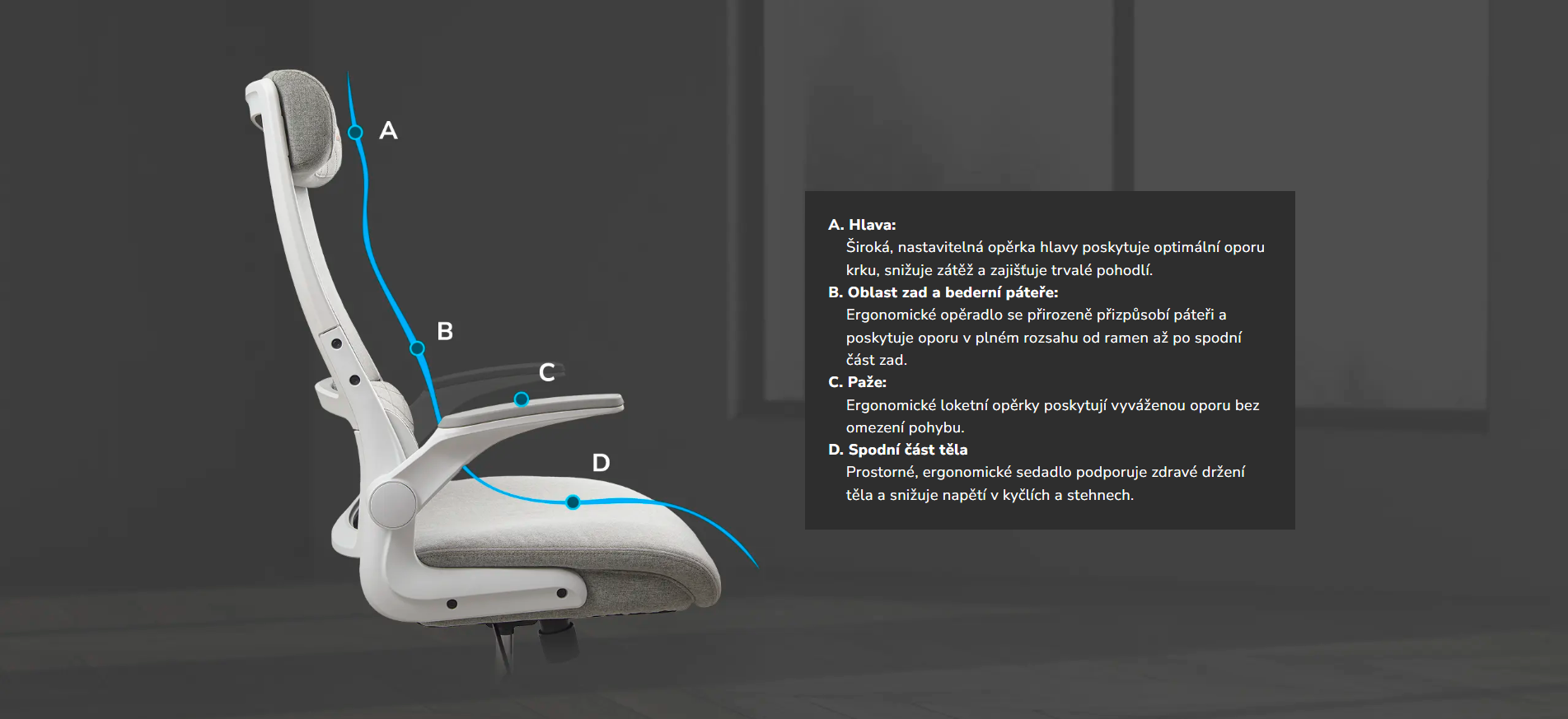 Snímek obrazovky 2026-03-12 123606